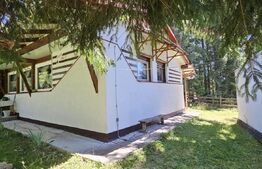 Casa de vacanta, 3 camere, teren 838 mp, 110 mp, Marisel