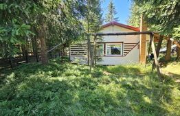 Casa de vacanta, 3 camere, teren 838 mp, 110 mp, Marisel