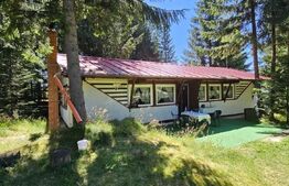 Casa de vacanta, 3 camere, teren 838 mp, 110 mp, Marisel