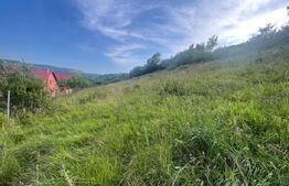 Teren pretabil pentru case , 1787 mp, Tauti 