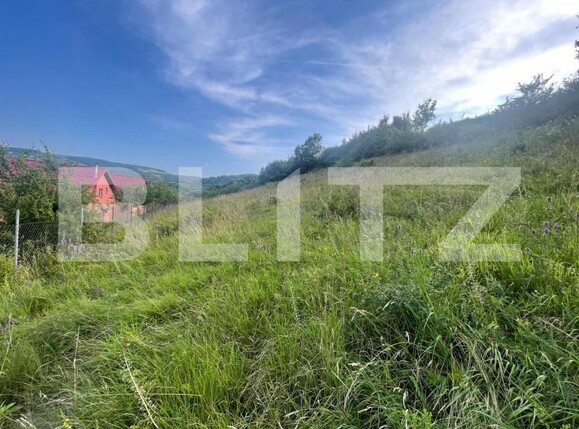 Teren de vânzare Tăuţi - 149900TV | BLITZ Cluj-Napoca | Poza1