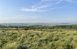 Teren intravilan, 1000 mp, PUD, zona Padureni