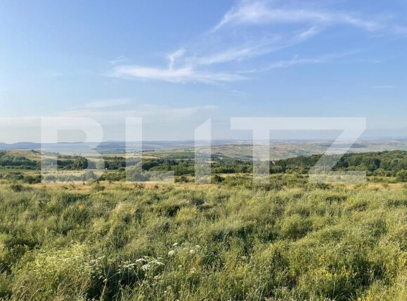 Teren de vânzare Chinteni - 149904TV | BLITZ Cluj-Napoca | Poza1