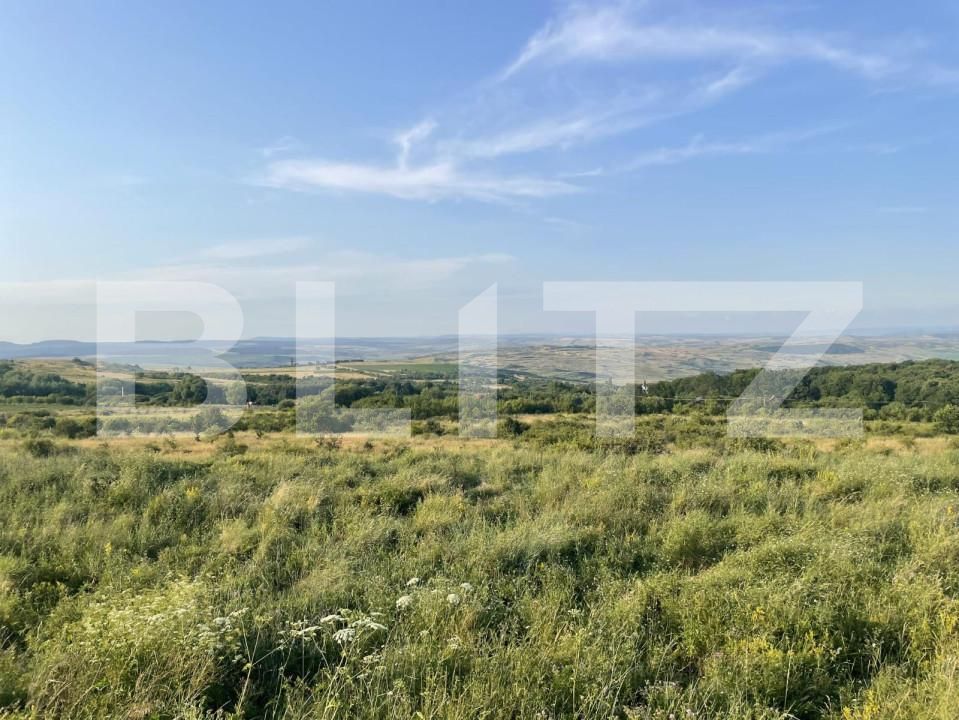 Teren de vânzare Padureni (Chinteni) - 149904TV | BLITZ Cluj-Napoca | Poza1