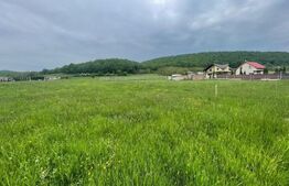 Teren extravilan de vanzare, 4551mp, front de 27 ml, Gilau Vest 