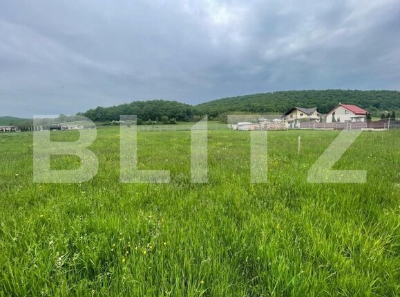 Teren de vânzare Gilău - 149920TV | BLITZ Cluj-Napoca | Poza2
