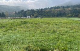 Teren extravilan de vanzare, 10 800 mp , Gilau 