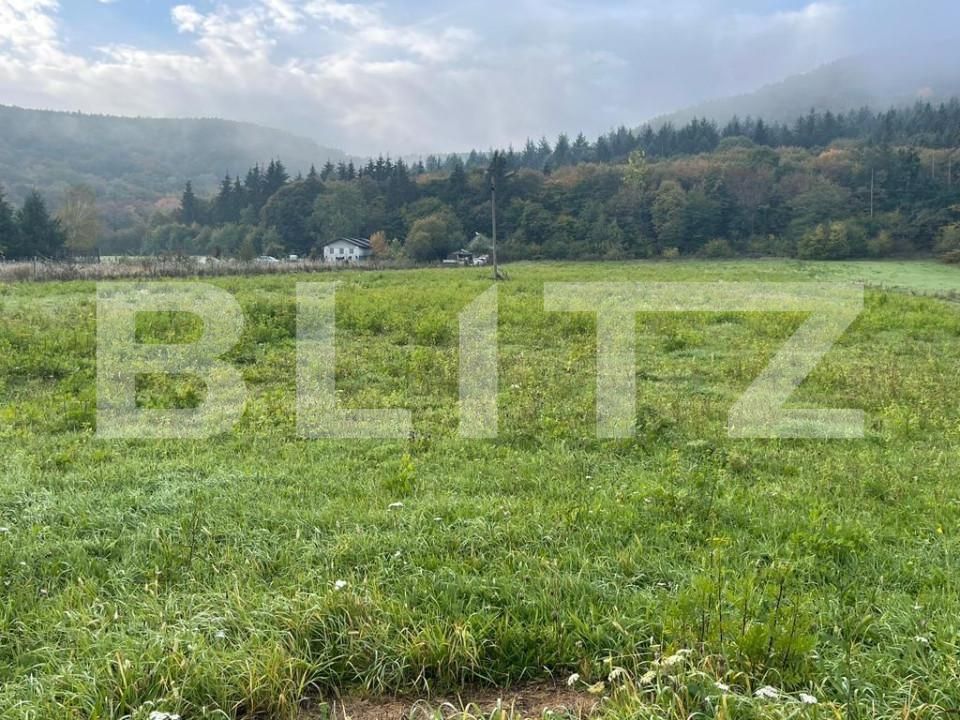 Teren de vânzare Gilău - 149938TV | BLITZ Cluj-Napoca | Poza1