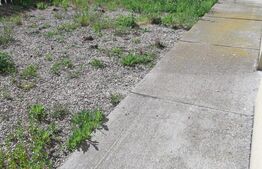 Spatiu comercial de vanzare 168 mp, zona PORII