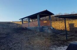 Oportunitate ! Teren intravilan construibil, 1200 mp, front 14.5 m, Salicea !