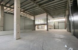 Hala industriala cu birouri: 3000 mp utili, 5000 mp teren, Jucu