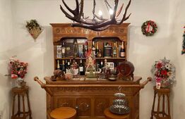 Casa pretabila pentru pensiune SPA, 200 mp utili, 1000 mp teren, Tarlungeni