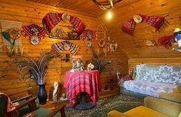 Casa pretabila pentru pensiune SPA, 200 mp utili, 1000 mp teren, Tarlungeni