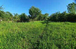 Teren intravilan 5800mp,Feleacu,zona Calea Turzii,zona mixta