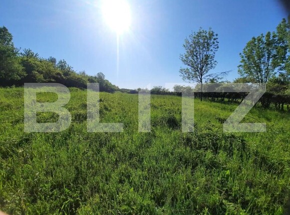 Teren de vânzare Exterior Sud - 149976TV | BLITZ Cluj-Napoca | Poza1