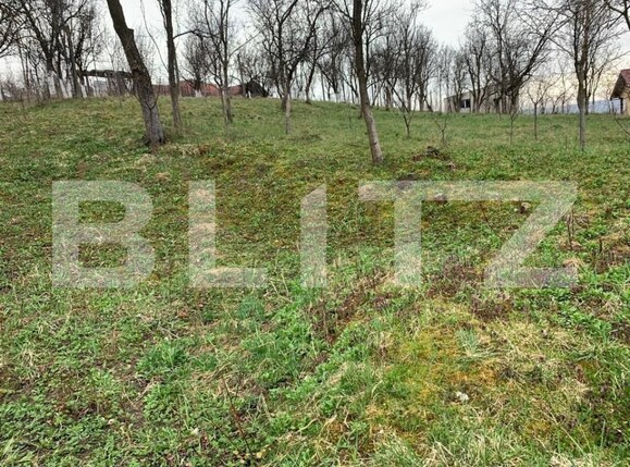 Teren de vânzare Jucu de Sus - 149992TV | BLITZ Cluj-Napoca | Poza3