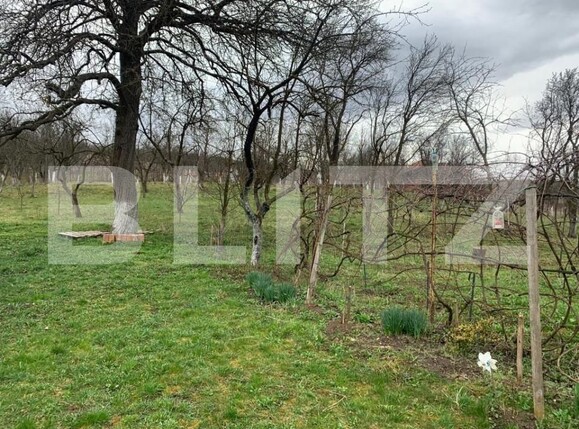 Teren de vânzare Jucu de Sus - 149992TV | BLITZ Cluj-Napoca | Poza1