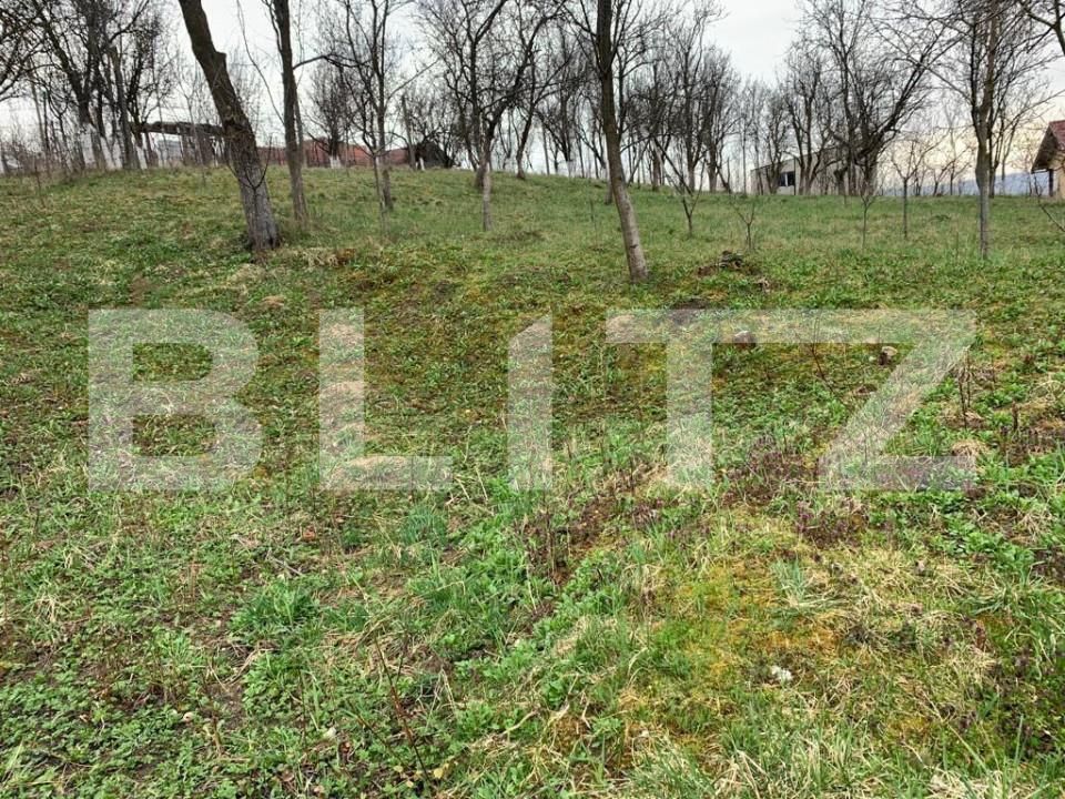 Teren de vânzare Jucu de Sus - 149992TV | BLITZ Cluj-Napoca | Poza3