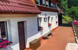 Casa de vacanta in zona Tarnita