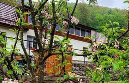 Casa de vacanta in zona Tarnita