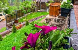 Casa de vacanta in zona Tarnita