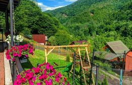 Casa de vacanta in zona Tarnita