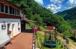 Casa de vacanta in zona Tarnita