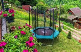 Casa de vacanta in zona Tarnita