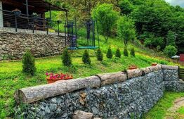 Casa de vacanta in zona Tarnita