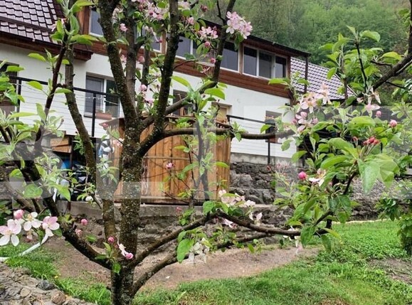 Casa de vânzare 4 camere Tarnița - 149994CV | BLITZ Cluj-Napoca | Poza4