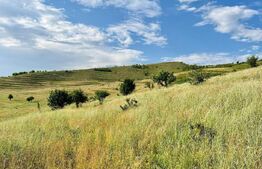 Teren, 2800 mp, Apahida