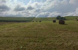 Parcele teren intravilan, 903mp, Salicea 