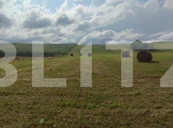 Teren de vânzare Salicea - 149997TV | BLITZ Cluj-Napoca | Poza1