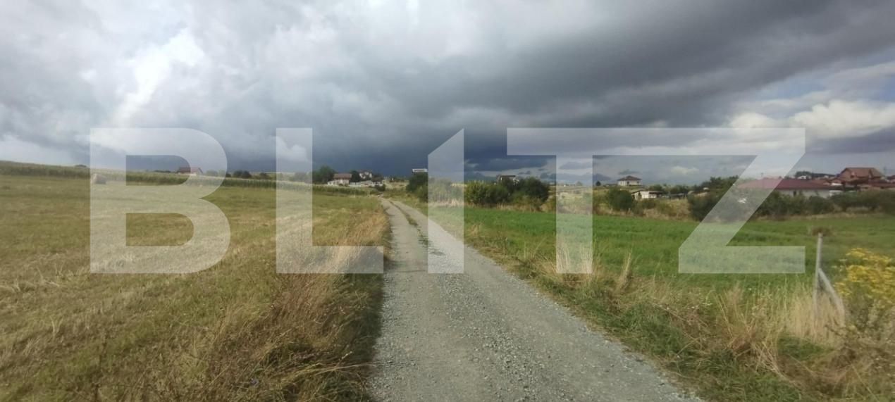 Teren de vânzare Salicea - 149997TV | BLITZ Cluj-Napoca | Poza2