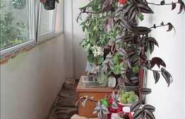 3 camere, 65 mp, decomandat, parcare, boxa, zona Kaufland