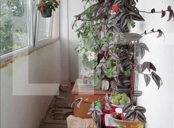 Apartament de vânzare 3 camere Marasti - 15000AV | BLITZ Cluj-Napoca | Poza12