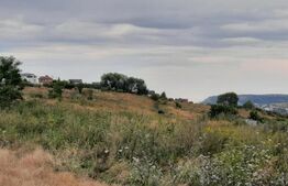 Teren extravilan 450 mp Valea Chintaului