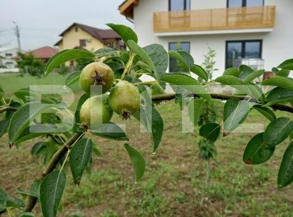 Casa de vânzare 4 camere Mihai Viteazu - 150002CV | BLITZ Cluj-Napoca | Poza1