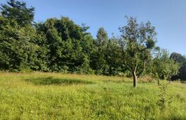 Teren, 700 mp pentru cabanute , toate utilitățile in  Feleacu