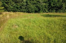 Teren, 700 mp pentru cabanute , toate utilitățile in  Feleacu