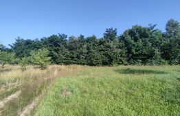 Teren, 700 mp pentru cabanute , toate utilitățile in  Feleacu