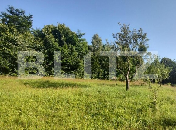 Teren de vânzare Feleacu - 150003TV | BLITZ Cluj-Napoca | Poza4