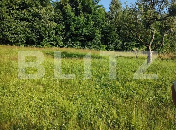 Teren de vânzare Feleacu - 150003TV | BLITZ Cluj-Napoca | Poza3