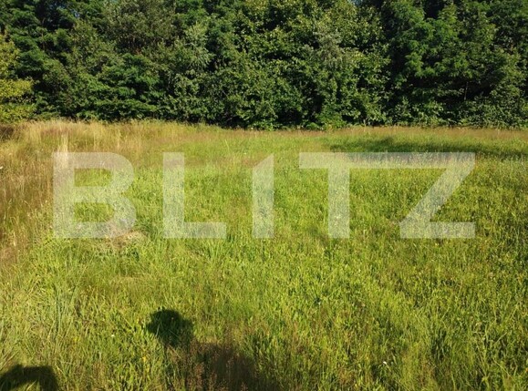 Teren de vânzare Feleacu - 150003TV | BLITZ Cluj-Napoca | Poza1