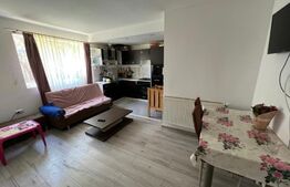 Casa la rosu cu, 900mp teren, Chinteni