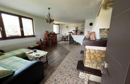 Casa la rosu cu, 900mp teren, Chinteni