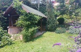 Casa 5 camere, 270 mp utili, 1300 teren