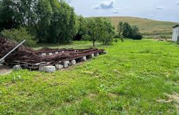 Casa 100mp cu Teren 2900 mp, Dezmir