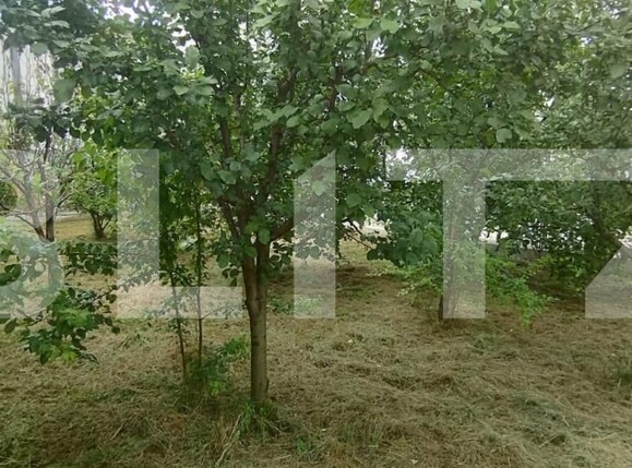 Casa de vânzare 6 camere Sannicoara - 150012CV | BLITZ Cluj-Napoca | Poza7