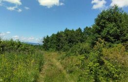 Teren 1500 mp, cu PUZ finalizat, Salicea